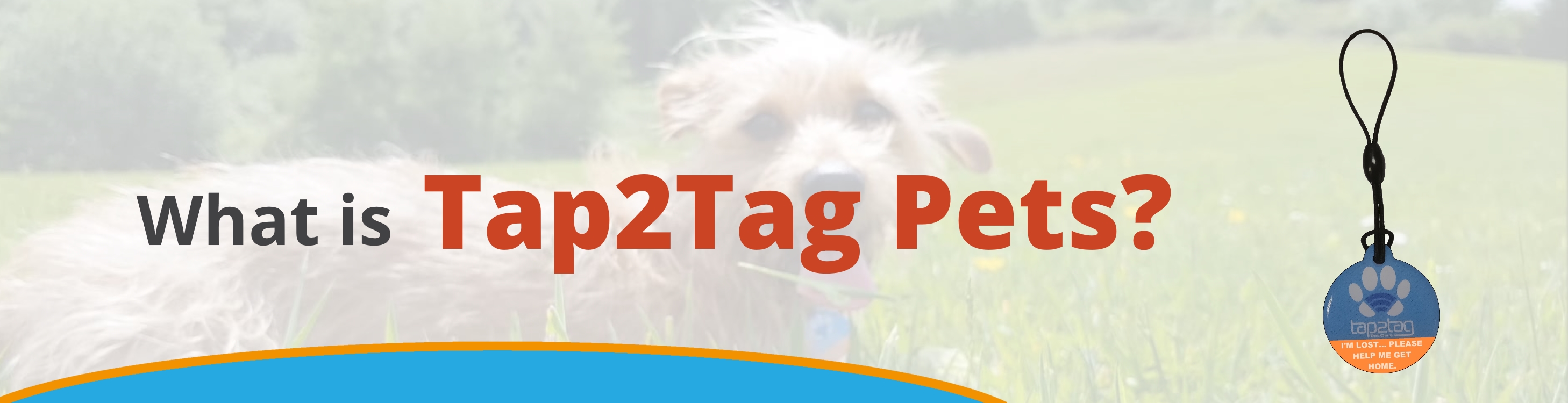 Tap2Tag Pets